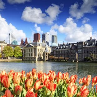2019 Alzheimer Europe Conference graphic image of The Hague with tulips