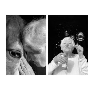 Calling the Birds Home