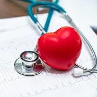 heart