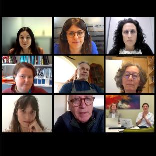 Multi-MeMo Advisory Board online meeting