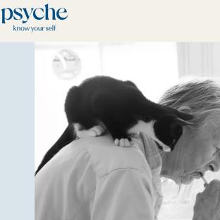Screenshot of Psyche guide