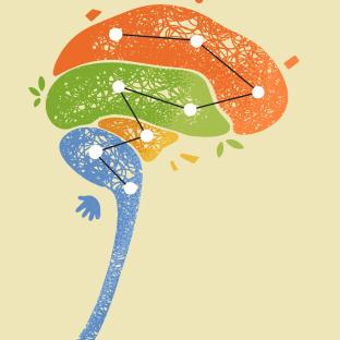 colourful drawing of a brain