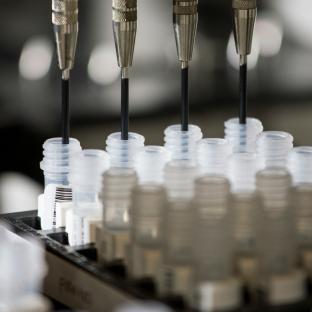test tubes in lab
