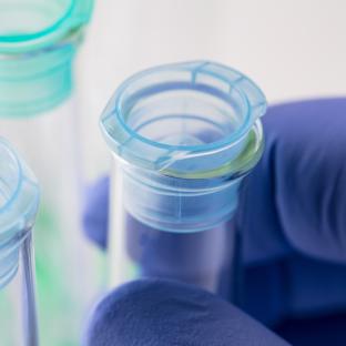 test tubes