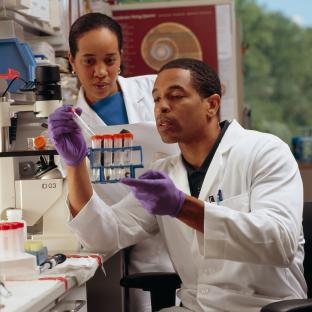 Two researchers working on blood test results
