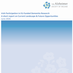 Irish research report cover