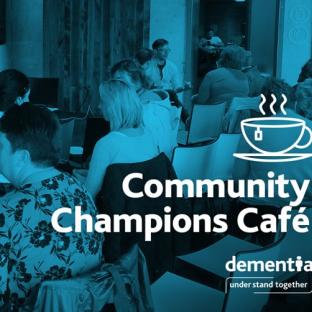 Alz Ireland Comm Champions