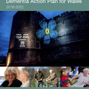 Dementia action plan