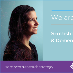 SDRC Strategy shareable graphic