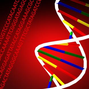 ScienceWatch_May_DNA_Bradshaw
