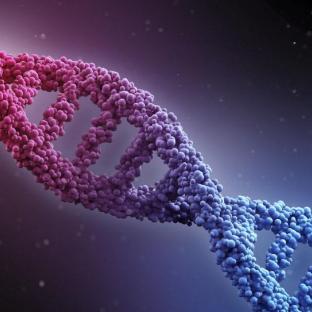 gene