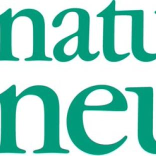 nature neuroscience